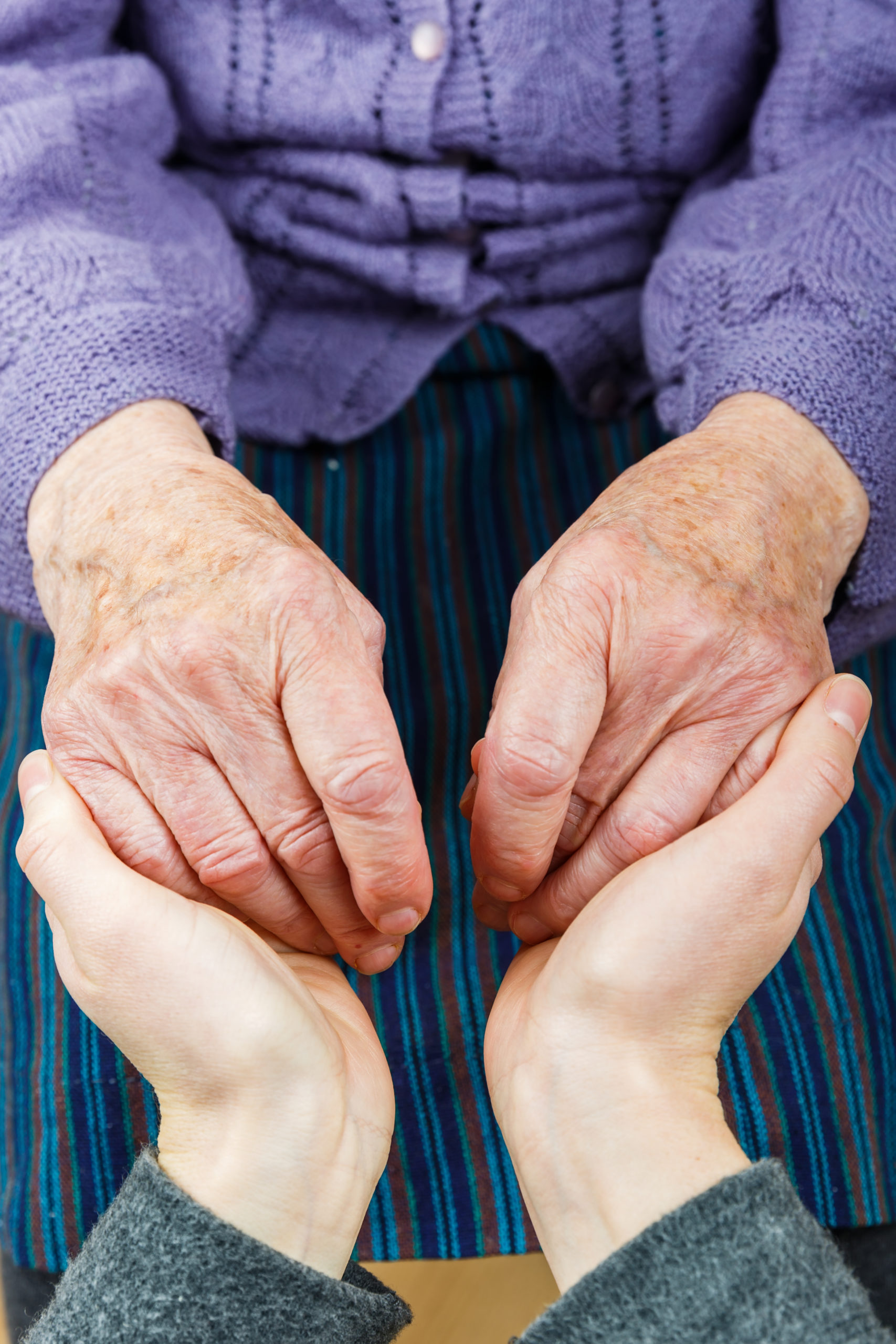 Papa Pal offering helping hands to senior companion