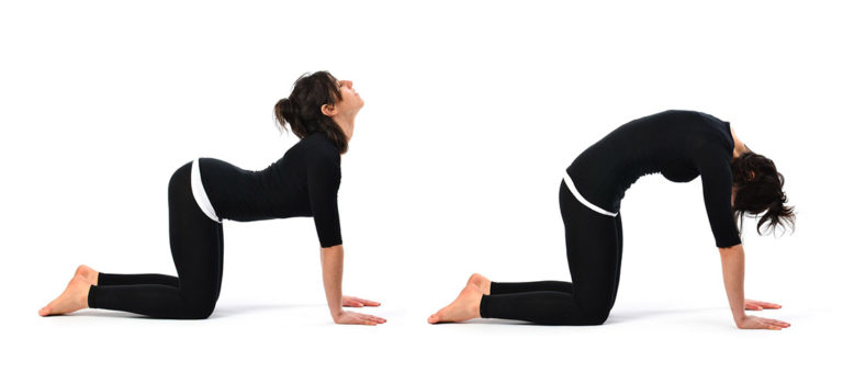 Young woman demonstrating the cat and cow yoga pose