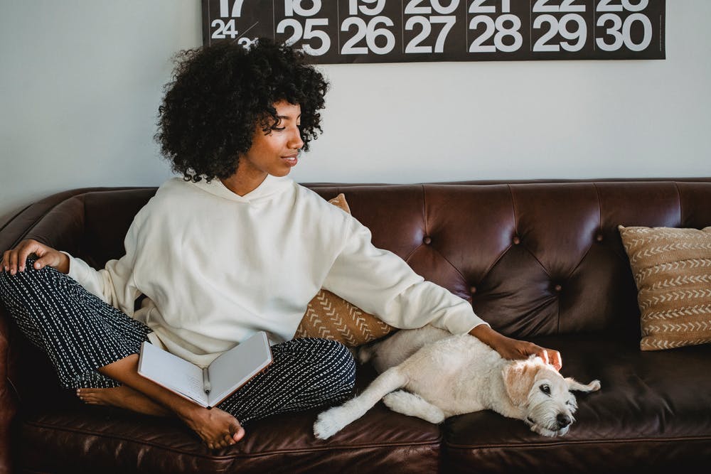 Millennial woman spending time with her dog while working on her journal