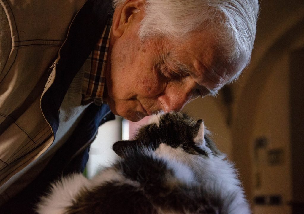  As a Papa Pal focusing on pet care, your skills are needed to help animals–and the humans who love them. 