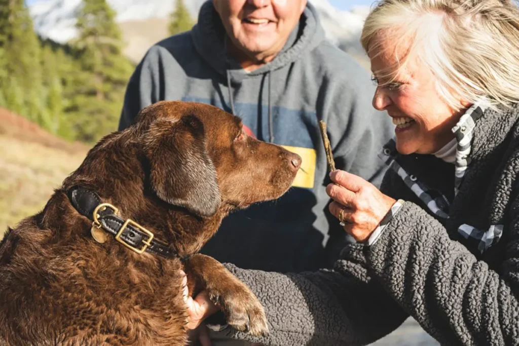 Seniors out walking with their dog.