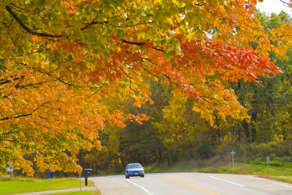 Taking a scenic drive to see the fall colors is one of the most popular activities for seniors in Lake County.