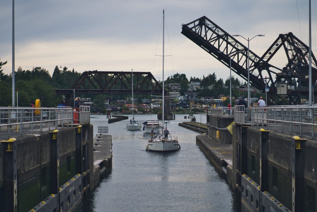 Visiting the Ballard Locks is one of many free activities for seniors, families, and people of all ages in Seattle.