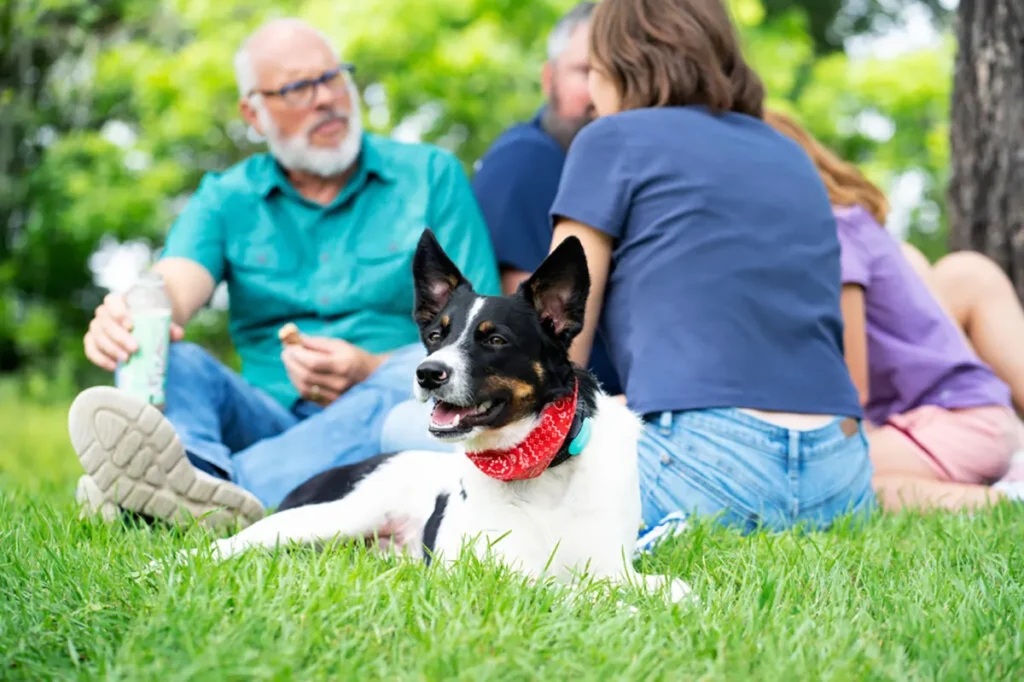 Group of people and their dog relaxing in a park.